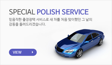 Special polish service